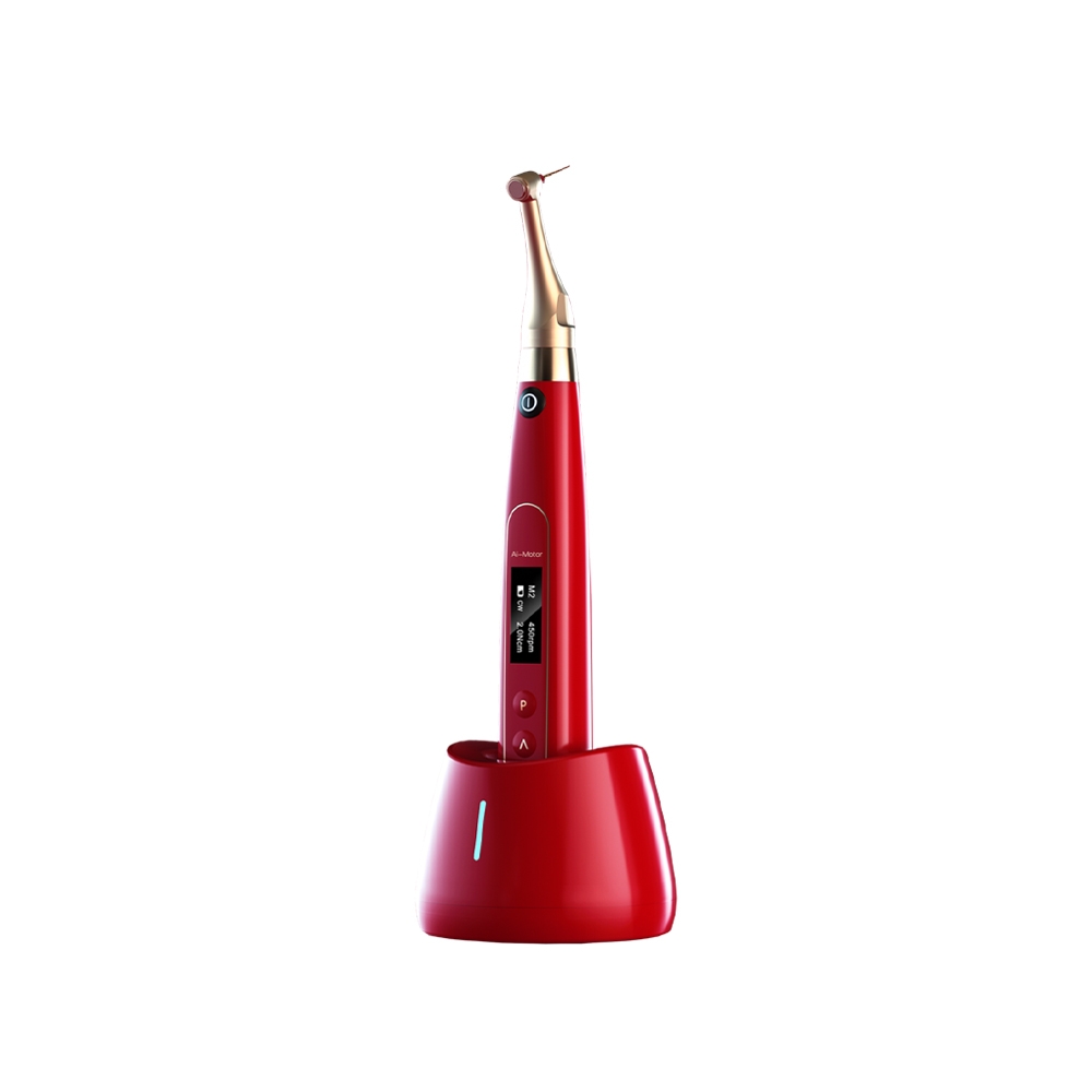New Dental Clinic Setup - Premium